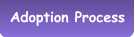 Adoption Process